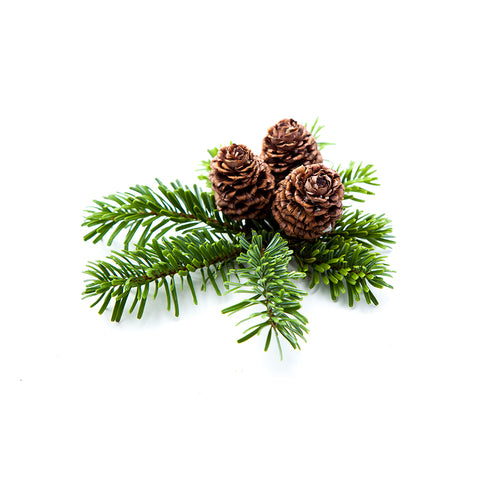 Fir Balsam