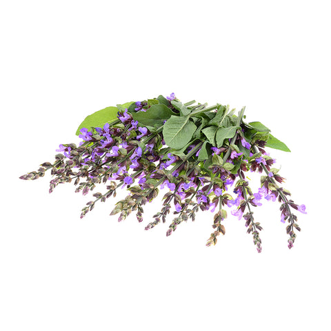 Clary Sage