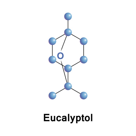 Eucalyptol