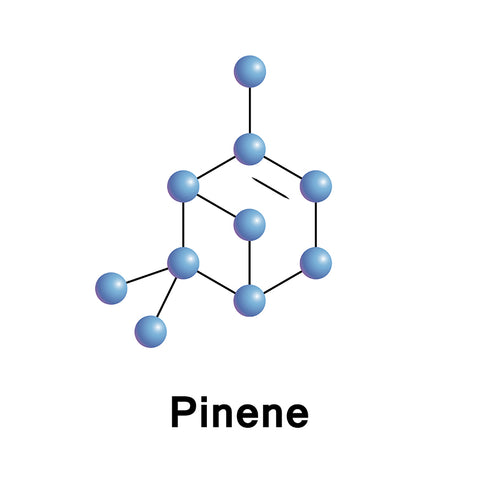 α-Pinene