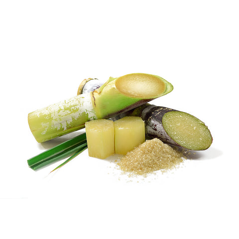 Sugar Cane