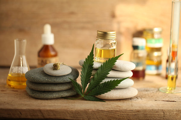 Aromatherapy: Does the Smell of Cannabis Terpenes Help Us Heal?