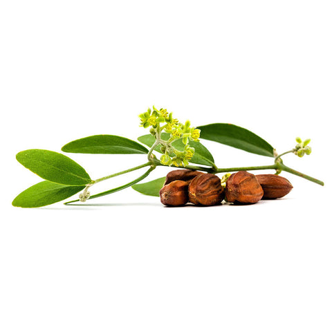 Jojoba Oil